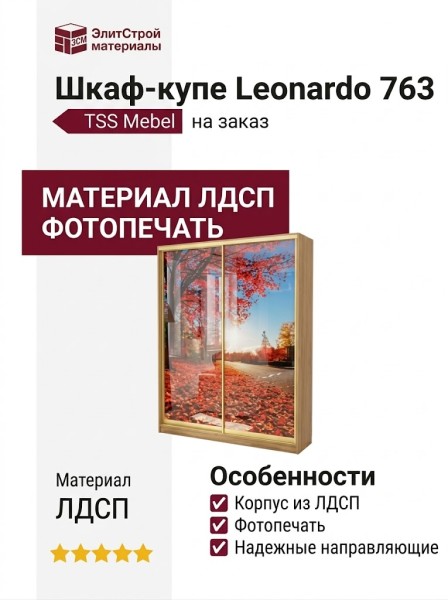 Шкаф-купе Leonardo 763
