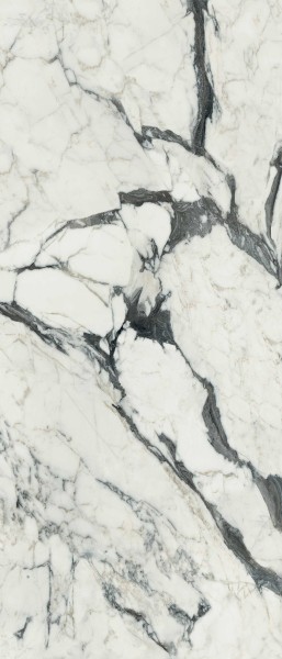 Rex Ceramiche Les Bijoux de Rex Calacatta Altissimo Glossy 120x280 765697