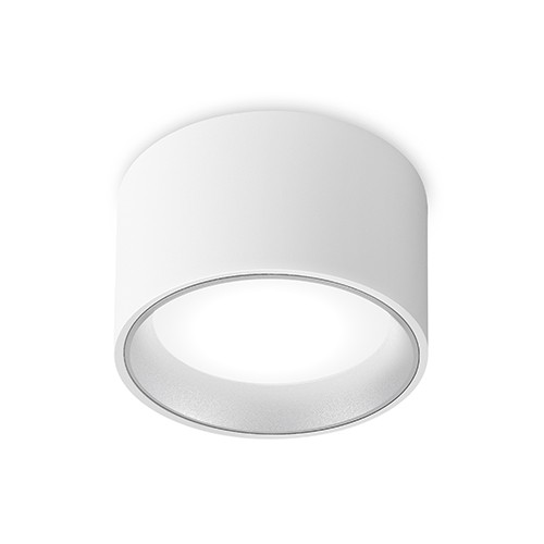 Светильник потолочный ALBA 14.40 WGr