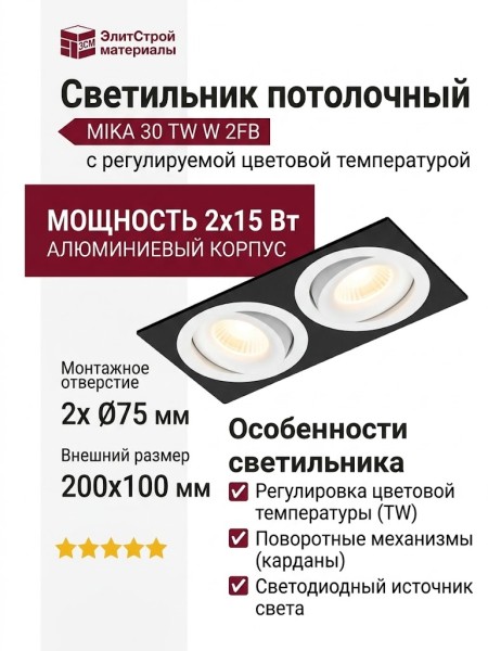 Светильник потолочный MIKA 30 TW W 2FB