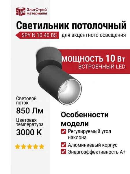 Светильник потолочный SPY N 10.40 BS
