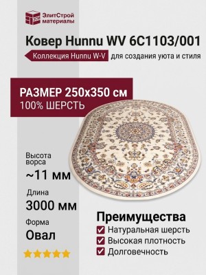 Ковер Hunnu WV 6C1103/001 Oval 250x350
