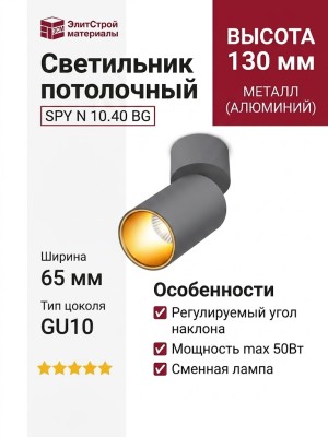 Светильник потолочный SPY N 10.40 BG