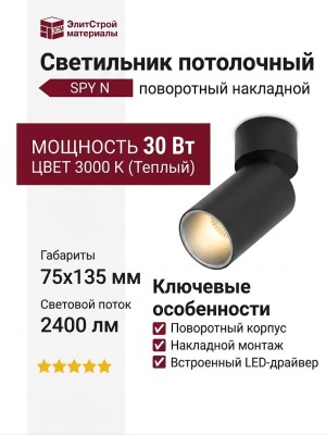 Светильник потолочный SPY N 13.30 BS