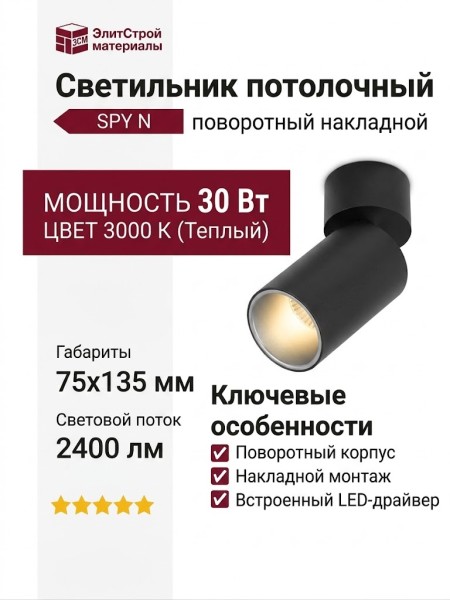 Светильник потолочный SPY N 13.30 BS