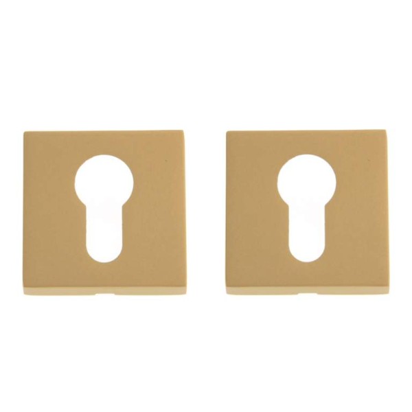 Дополнительные розетки для замка с английским ключом Cyl K матовое золото, материал Замак, отделка Золото, 50*50 мм