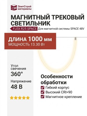 Магнитный трековый светильник FLEX R25 SPACE 13.30 W 1000