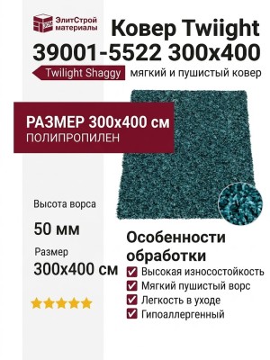Ковер Twilight 39001-5522 300x400