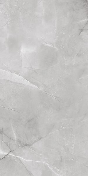 ARMANI SILVER  керамогранит полированный 120x60 см  1142G