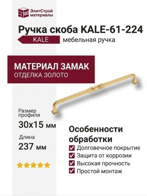 Ручка скоба KALE-61-224, материал Замак, отделка Золото, 30*15*237 мм