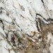 NAXOS Rhapsody Fantasy Lev Ret 60x120 117428