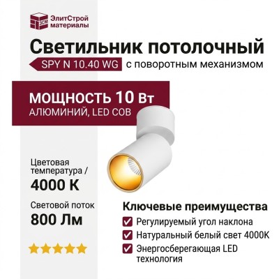 Светильник потолочный SPY N 10.40 WG