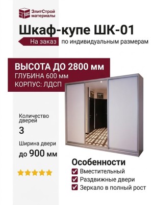 Шкаф-купе ШК-01