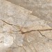 Imola The Room SAN PE6 120 LP 120x120