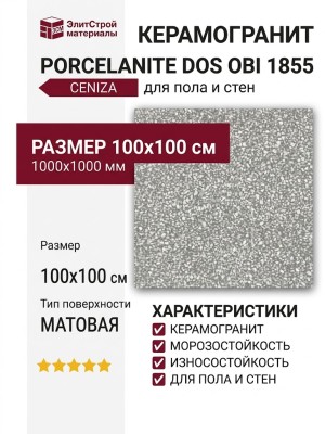 Porcelanite DOS Obi 1855 Ceniza 100x100 POR_O1855_CNZ_100