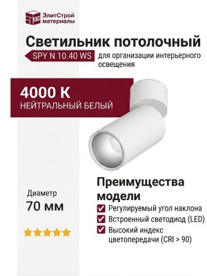Светильник потолочный SPY N 10.40 WS