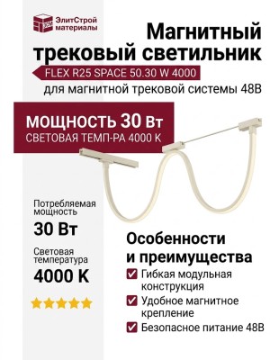 Магнитный трековый светильник FLEX R25 SPACE 50.30 W 4000