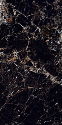 Arcadia Ceramica TORINO BLACK керамогранит  глянцевый 60x120  HG