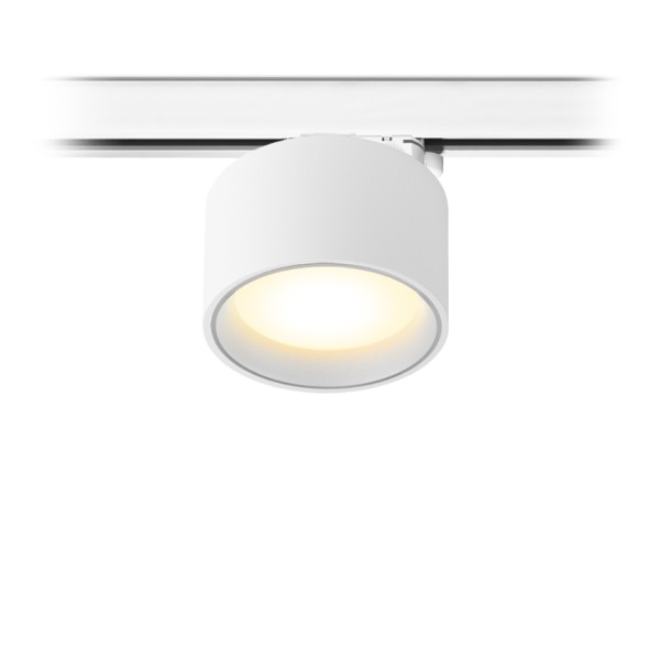 Трековый светильник 22 0 вольт TR ALBA 14.30 WGr