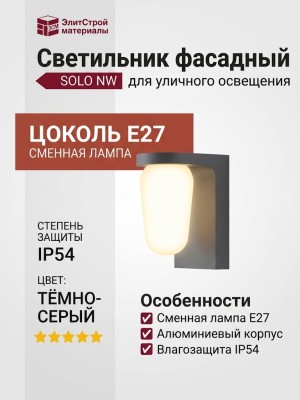 Светильник фасадный SOLO NW E27 DG