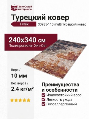 Ковер Fenix 30985-110 multi 240x340