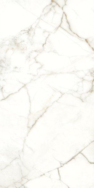 NAXOS Rhapsody Emotion Lev Ret 60x120 117782