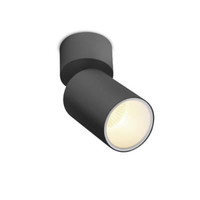 Светильник потолочный SPY N 10.30 BW DIM