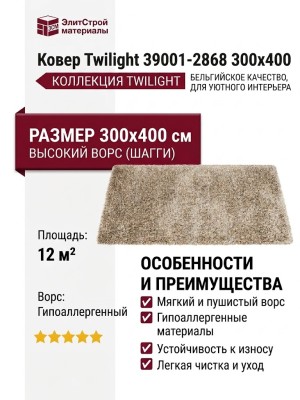 Ковер Twilight 39001-2868 300x400