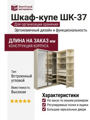 Шкаф-купе ШК-37
