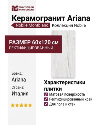 Ariana Nobile Montblanc Ret 60x120 PF60006903