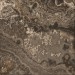 Grespania Izmir Marron Pul. 119x119 36IZ20P