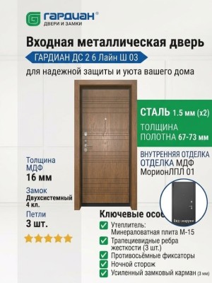Входная металлическая дверь ДС 2  6 Лайн Ш 03