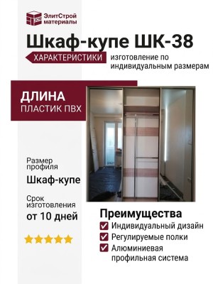 Шкаф-купе ШК-38