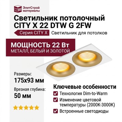 Светильник потолочный CITY X 22 DTW G 2FW