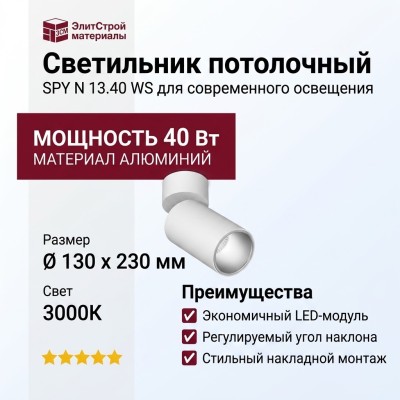 Светильник потолочный SPY N 13.40 WS