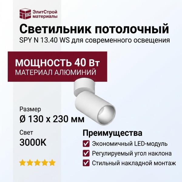 Светильник потолочный SPY N 13.40 WS