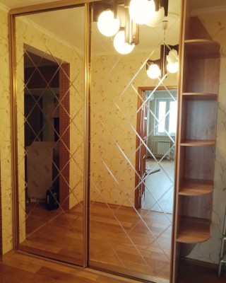 Шкаф-купе ШК-39