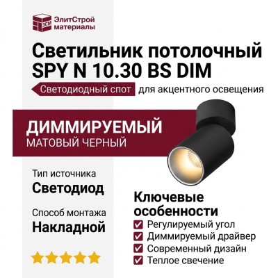 Светильник потолочный SPY N 10.30 BS DIM