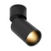 Светильник потолочный SPY N 13.30 B DIM
