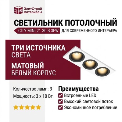 Светильник потолочный CITY MINI 21.30 B 3FW