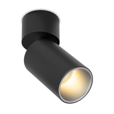 Светильник потолочный SPY N 13.30 BS DIM