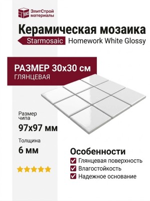 Starmosaic Homework White Glossy (MH33800) 30x30 С0005248