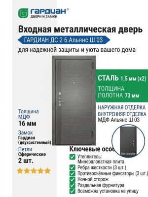 Входная металлическая дверь ДС 2  6 Альянс Ш 03