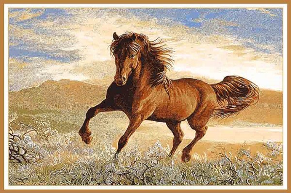 Ковер Hunnu S 6S1137/122