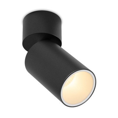Светильник потолочный SPY N 13.30 BW DIM