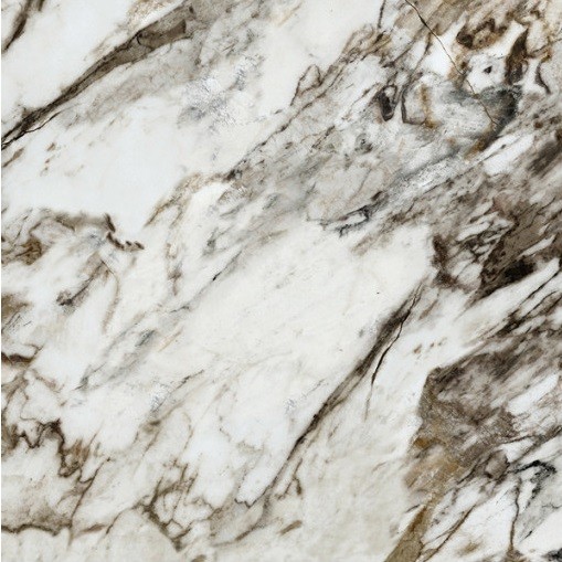 NAXOS Rhapsody Fantasy Lev Ret 60x60 117465