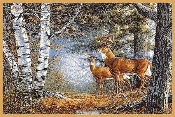 Ковер Hunnu S 6S1032/028