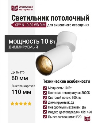 Светильник потолочный SPY N 10.30 WB DIM