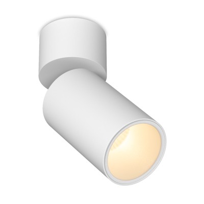 Светильник потолочный SPY N 13.30 W DIM