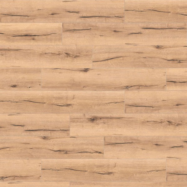 Ламинат Haro коллекция Tritty 100 Campus 4V Дуб Италика Кремовый 532060